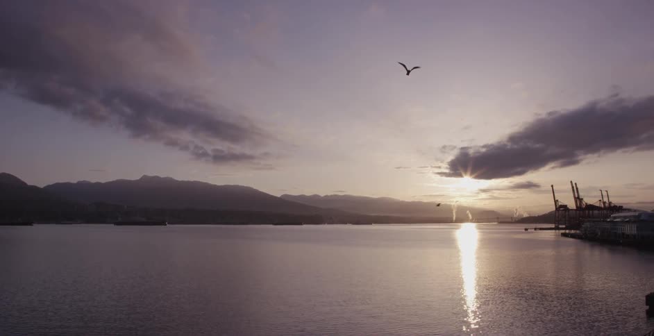 The sun rises over the ocean