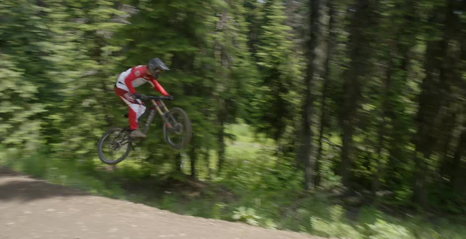 A bicyclist speeds through a forest