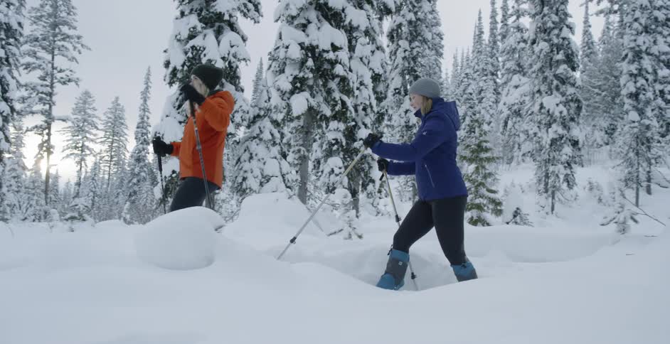 Two women snowshoe near the trees