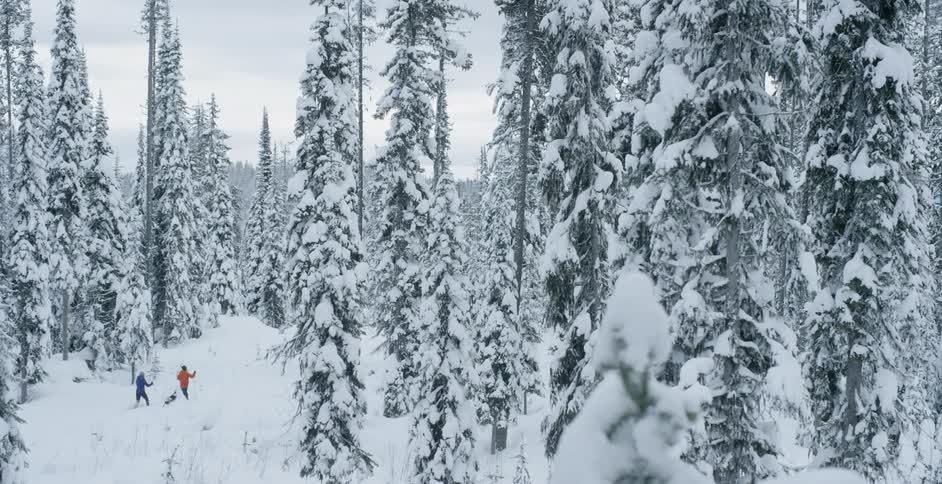 Hikers walk through a snowy forest