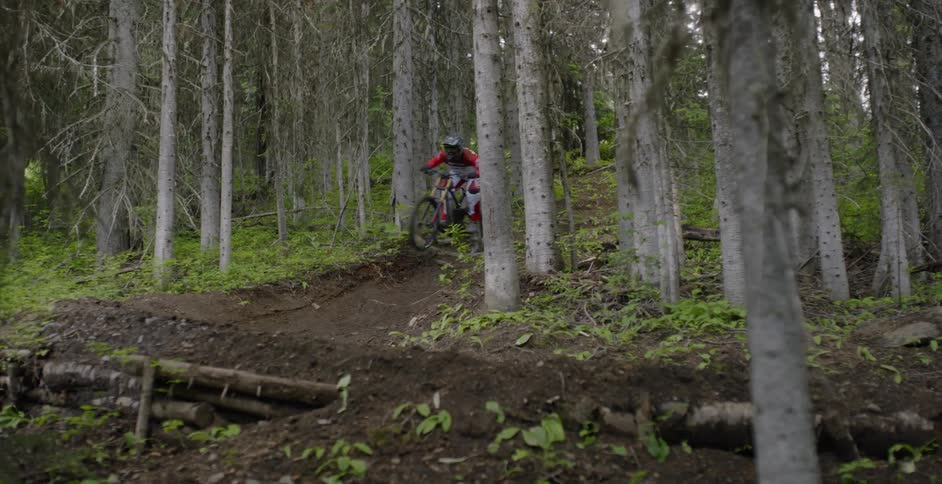 A bicyclist speeds through a forest