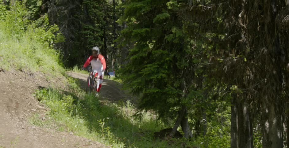 A bicyclist speeds through a forest