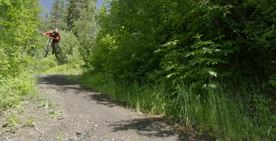 A bicyclist goes over a jump in a forest