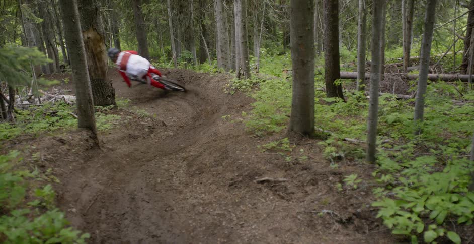 A bicyclist speeds through a forest
