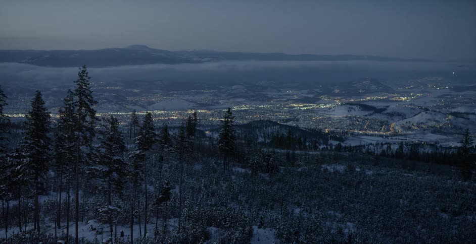 Forest trees overlook city lights on winter night