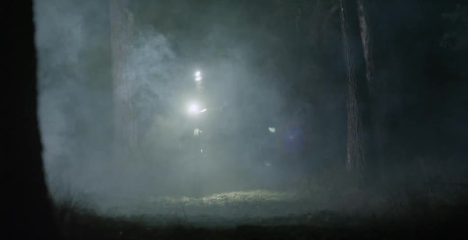 A bicyclist rides through a dark forest