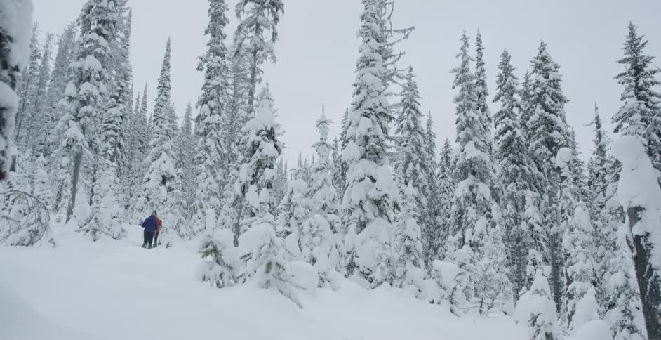 Two people hike into the forest with heavy snow