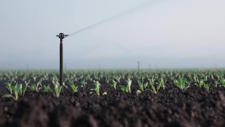Sprinklers spray crops on a farm