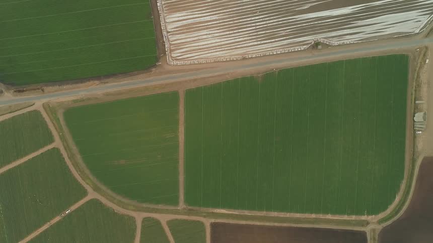 Green grass and crops cover the farmland