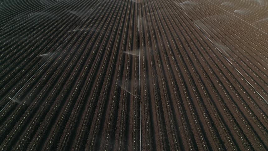 The sprinklers spray over the crops