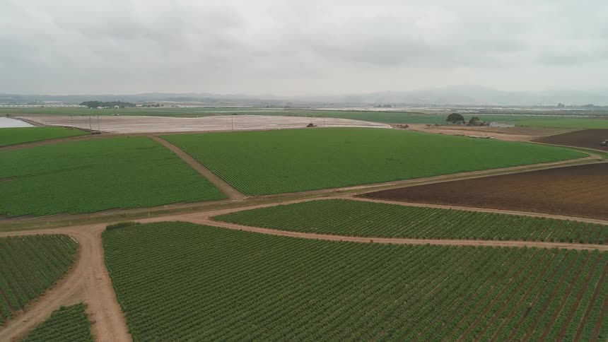 Dirt roads separate crops and fields on a farm