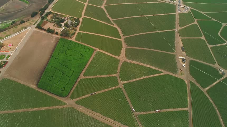 The farm land below is sectioned off