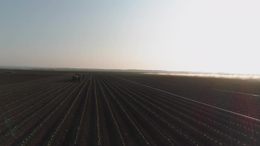 A farm vehicle is working the fields ahead