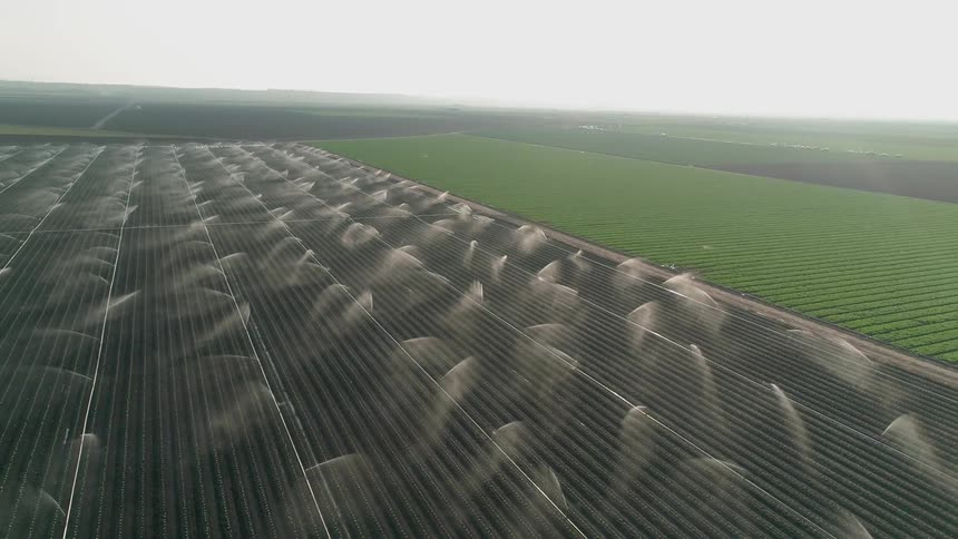 Crops are watered on a farm