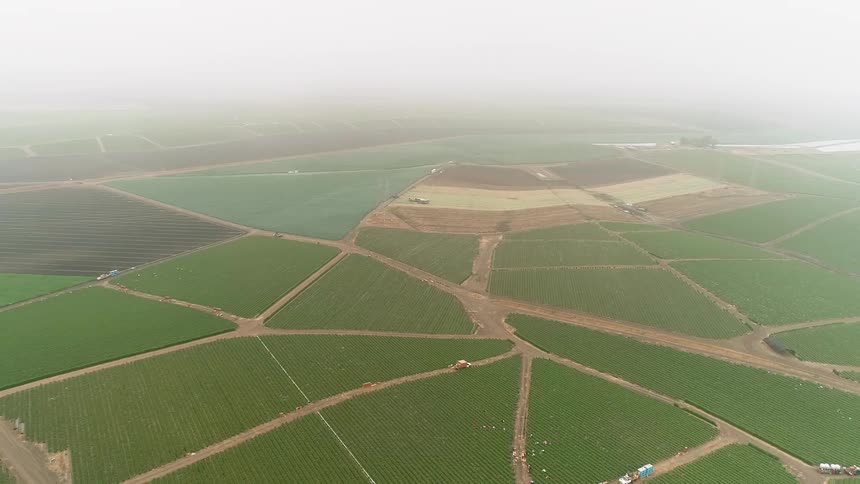 Dirt roads separate crops and fields on a farm
