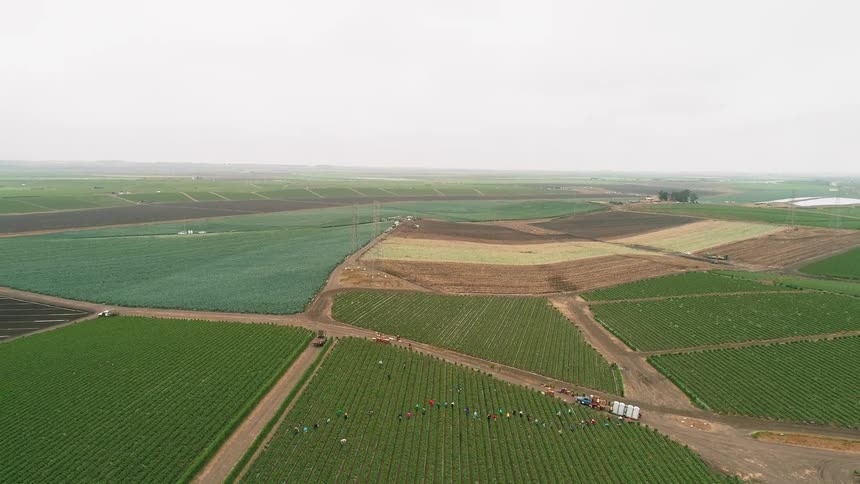 People walking through vast farmland