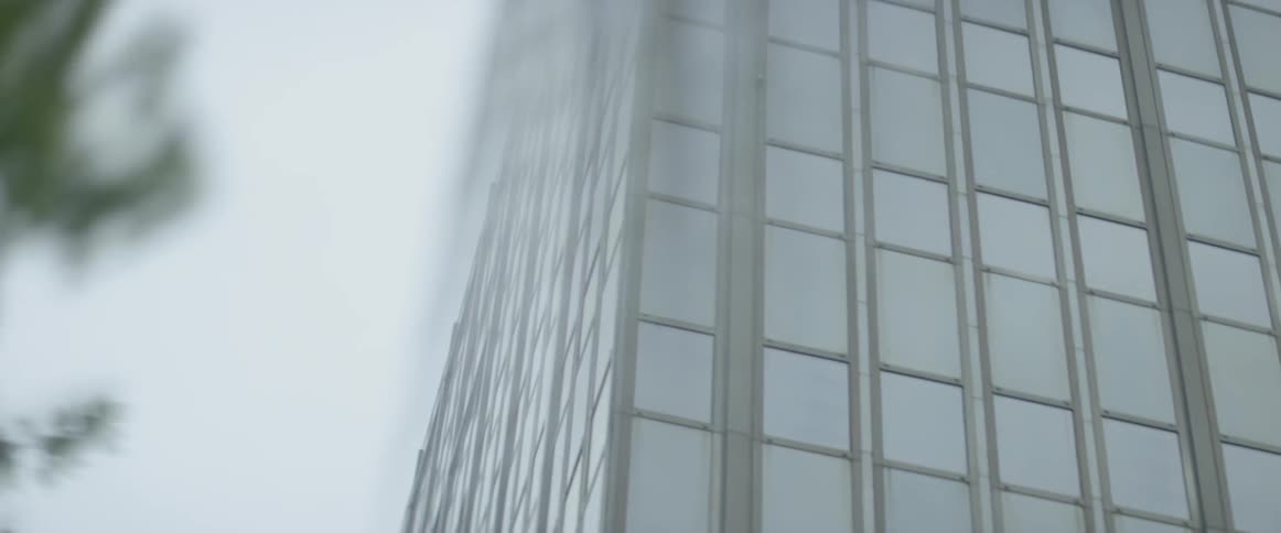 The trees cover part of the building