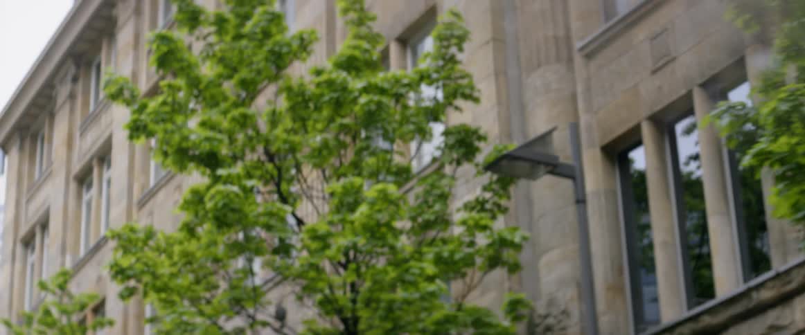 Trees grow next to a city building