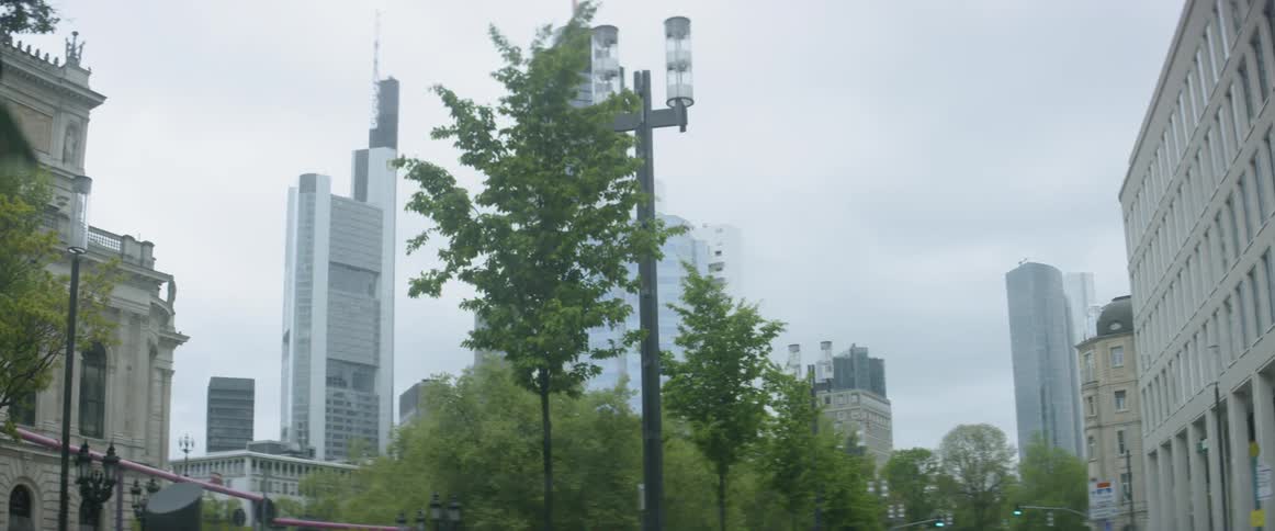 The trees lead to the city ahead
