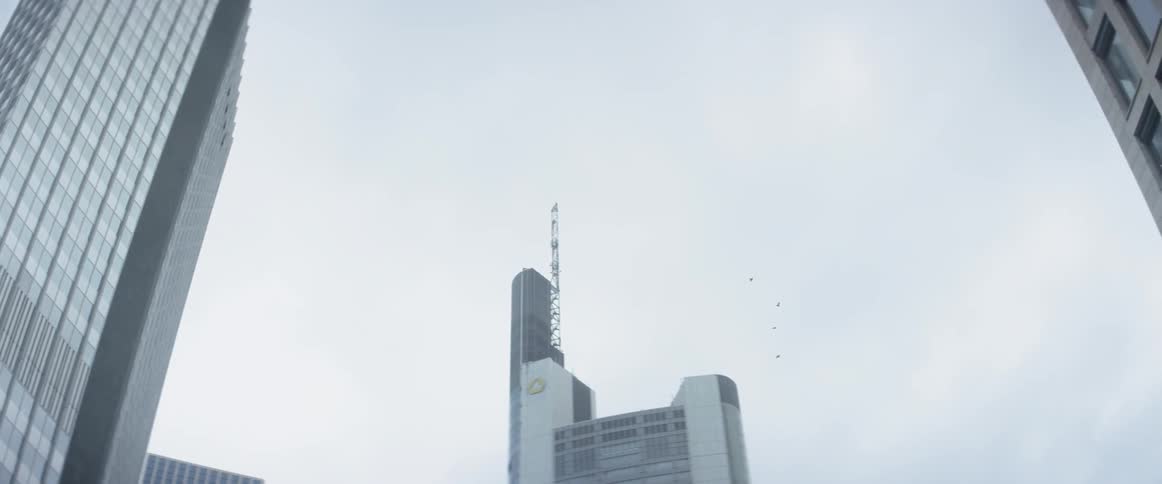 Birds fly above the tall city buildings