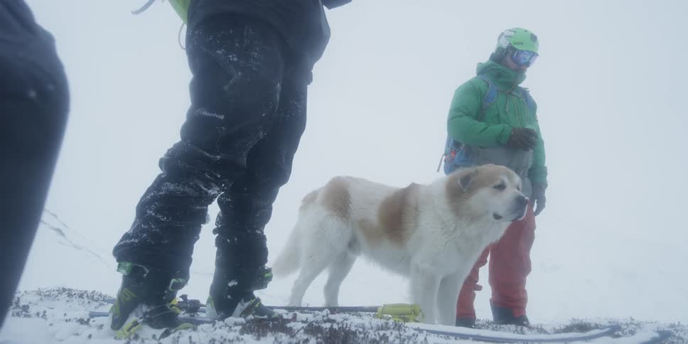 A dog stands near two people in the snow