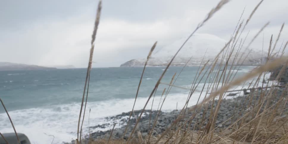 The wind blows grass on the shore as waves crash ashore
