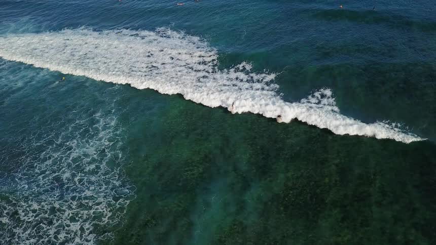 Surfers ride an ocean wave