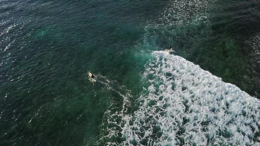 Surfers paddle out into the water
