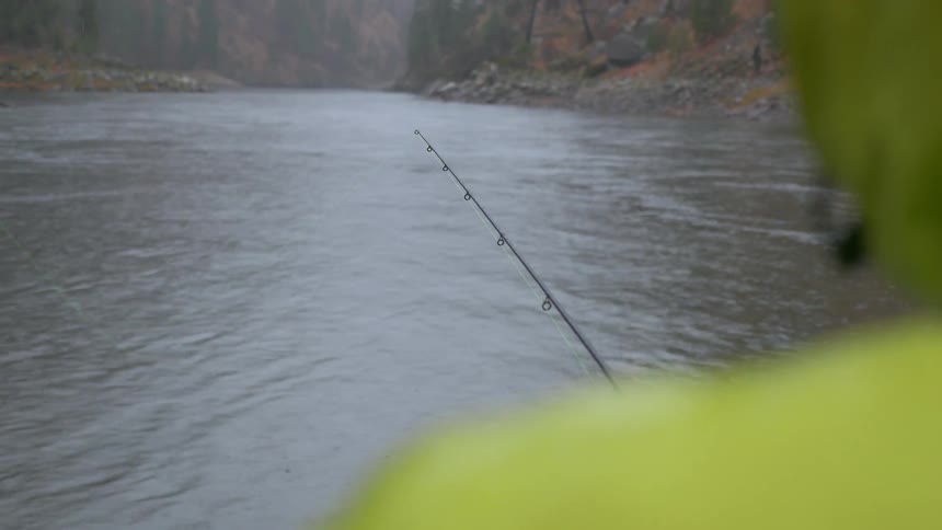A person is fishing in the stream