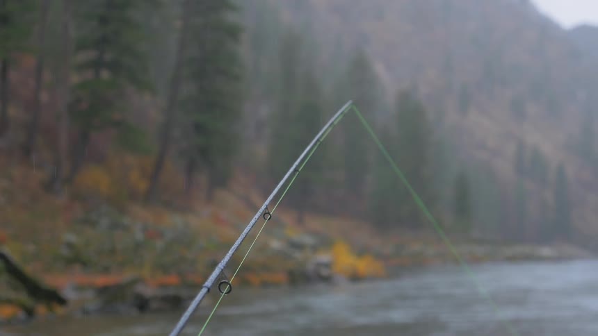 The fishing line is pulling in the water
