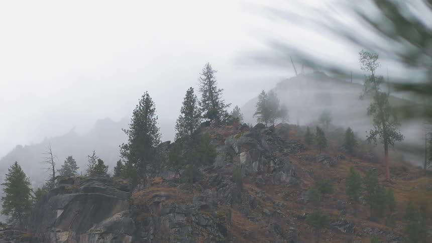 Trees stand on top of a rocky hill on a cloudy day