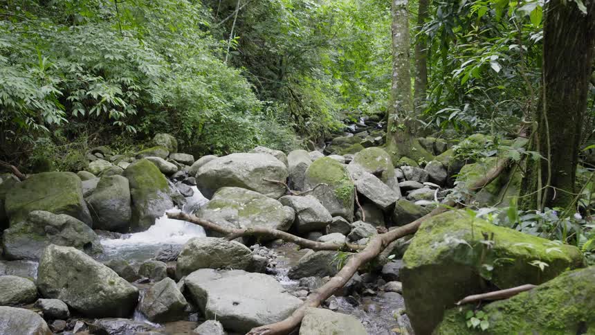 A stream of water crashes vigourously against large rocks in the stream