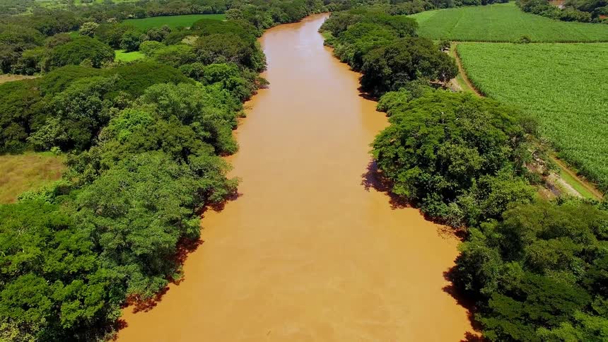 A muddy river flows past trees and fields in Panama