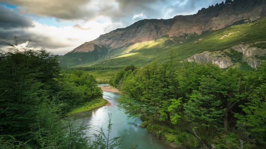 The small stream runs through the wilderness