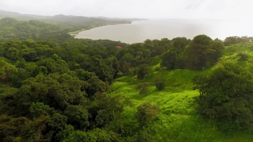 Trees on green hills give way to the ocean