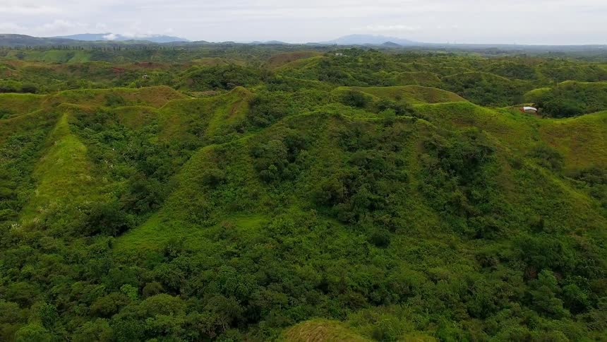 The vast field of hills are covered with lush growth in the Panamanian countryside