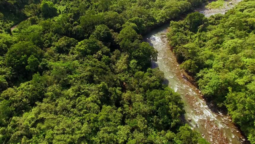 The rushing river water cuts right through the Panamanian rainforest