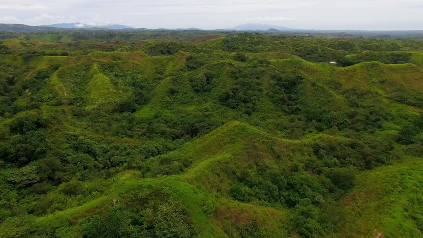 Panamanian hills are covered with lush green trees and plants
