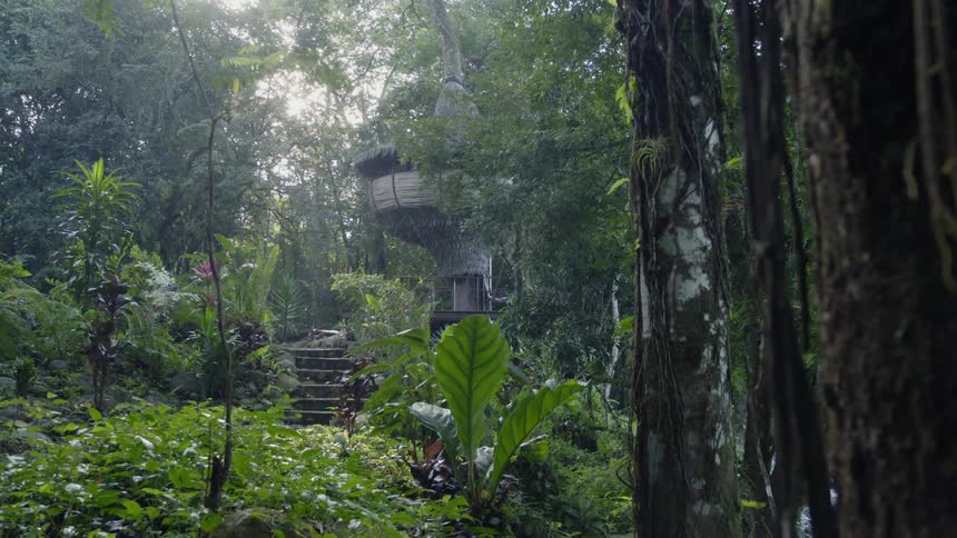 A small acorn-shaped treehouse sits in the trees ahead