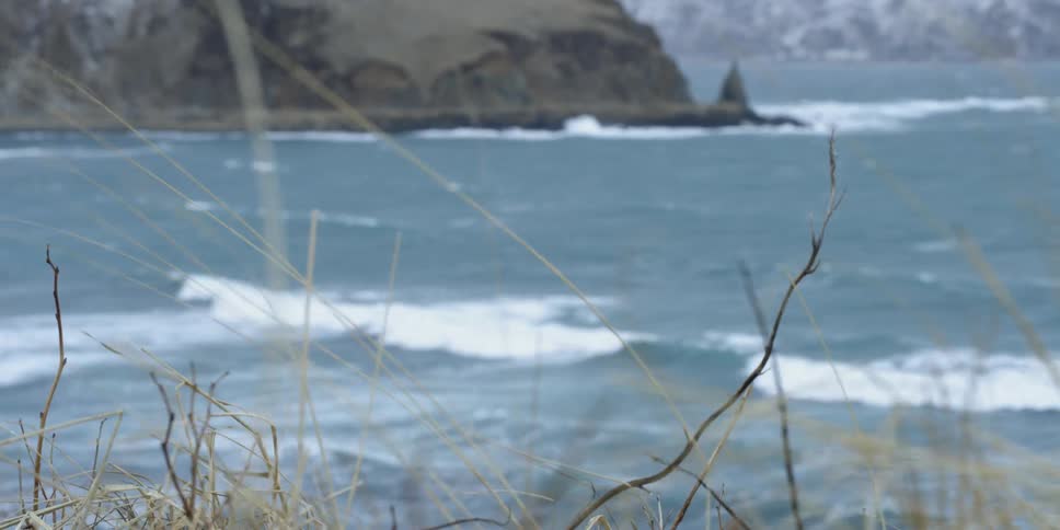 The wind blows grass on the shore as waves crash beyond