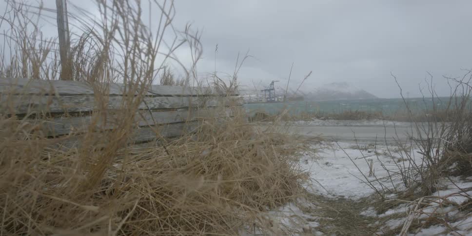 Wind blows grass near a beach bench in winter