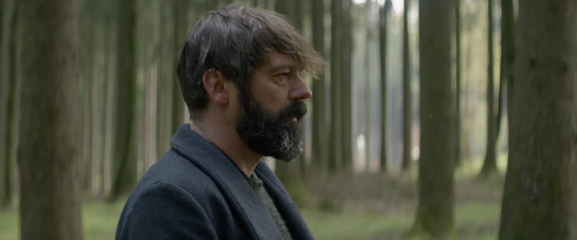 A man stands out under trees in the woods