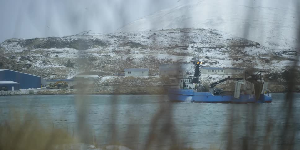 A fishing boat travels close to shore