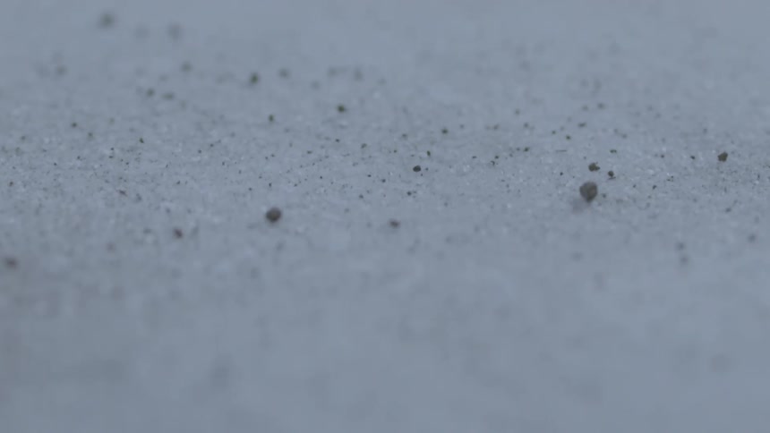 Salt flat rumble