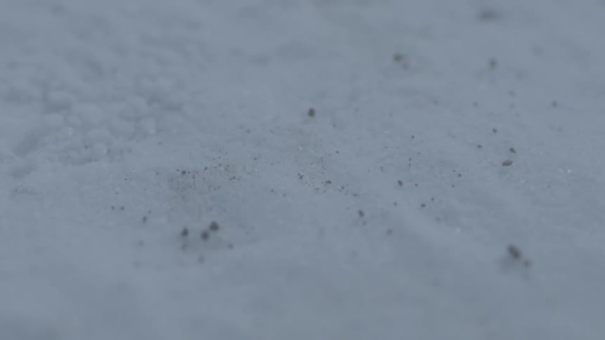 The snow on the ground is vibrating