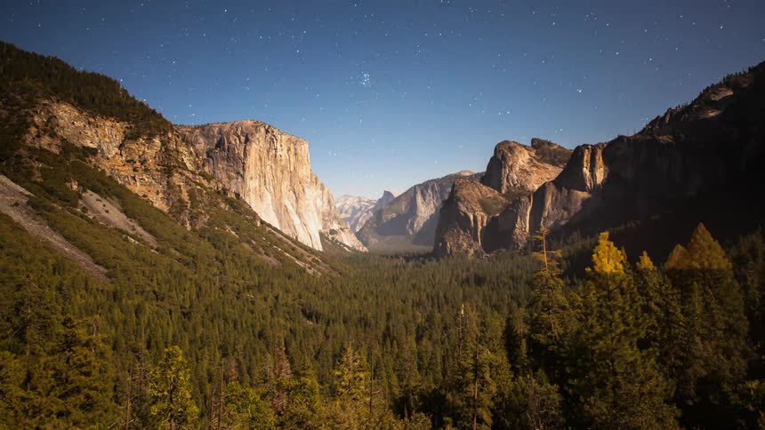 Shooting stars flash across the sky over a forest