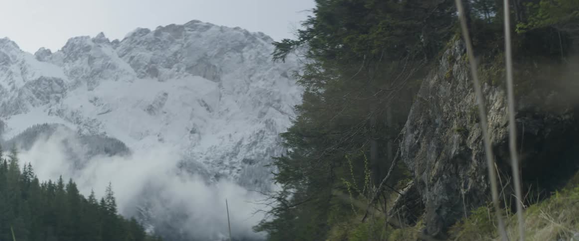 Wind blows branches and trees in a mountain forest
