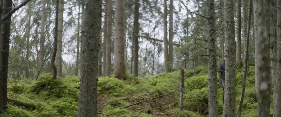 A man walks through the woods on an overcast day