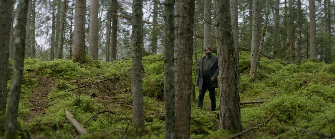 A man hikes in a forest