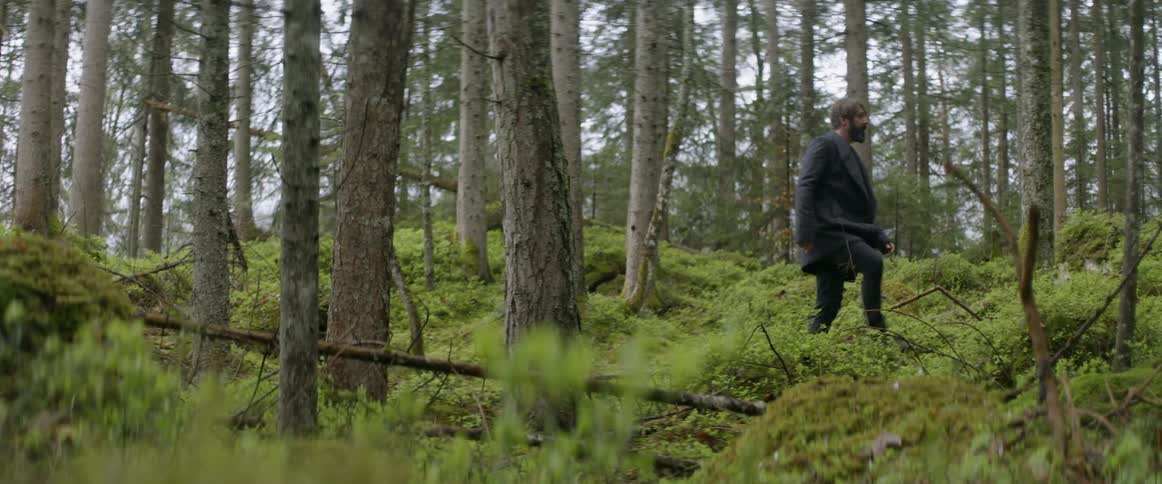 A man is hiking in the woods